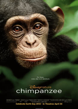 黑猩猩2012-纪录片