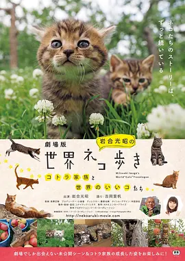 岩合光昭の猫步走世界~镰仓~