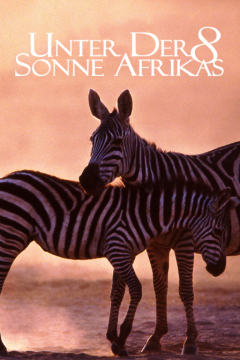 走进非洲8：蓬勃的生命