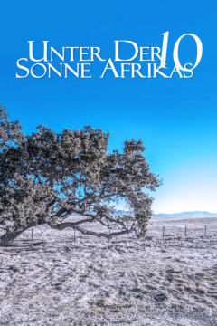 走进非洲10：梦想树