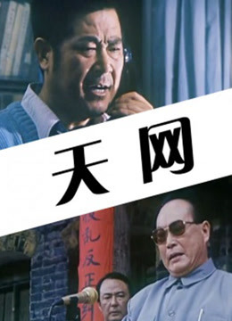 天网1994