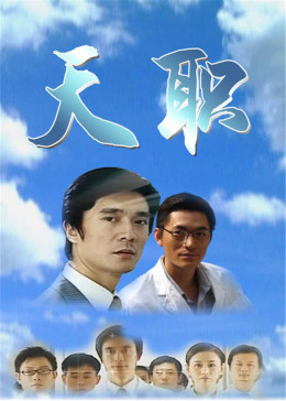 天职2009