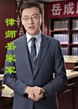 律师岳家军第一季