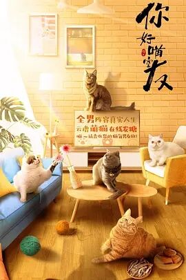你好，喵室友