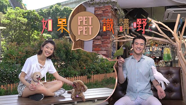 如果 Pet Pet 识讲嘢