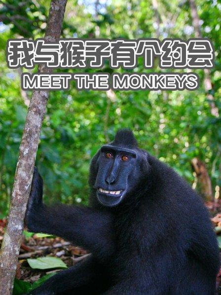 我与猴子有个约会