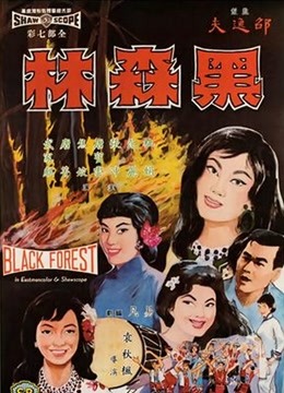 黑森林[1964]