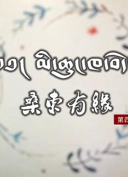 桑东有缘第五季